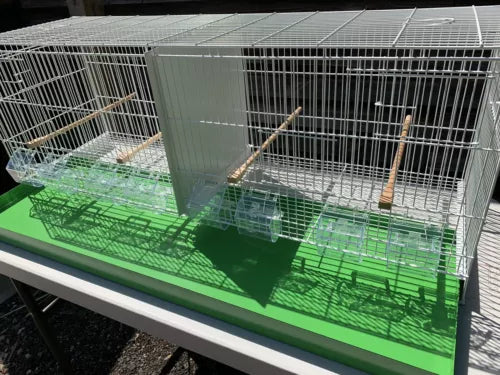 110cm White Metal Double Breeder Bird Cage with Green bottom Tray 110 x 35 x 42 (cm’s) 8 Feeders & 4 Perches